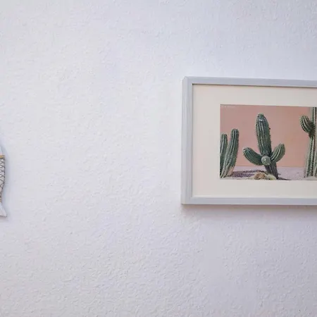 The Roof Of The Center, By Comfortable Luxury Apartment Corralejo